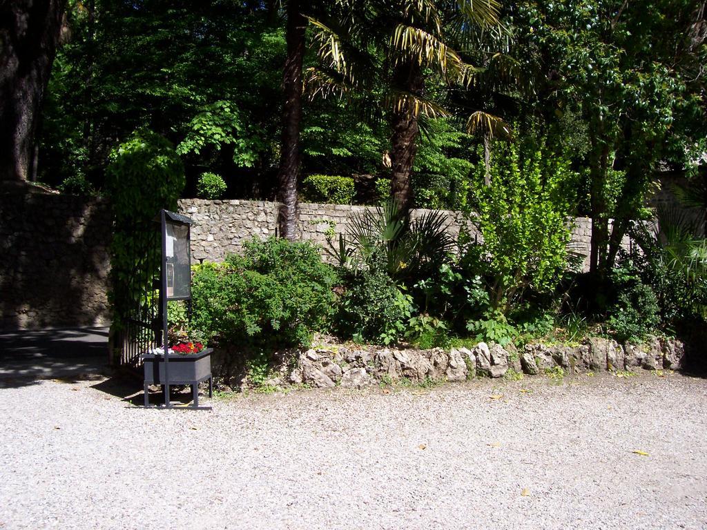 Cocagne